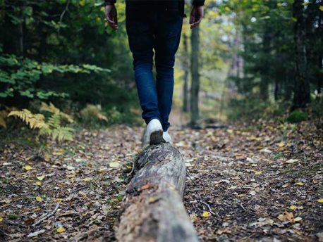 Person balancing on a fallen tree in a peaceful forest